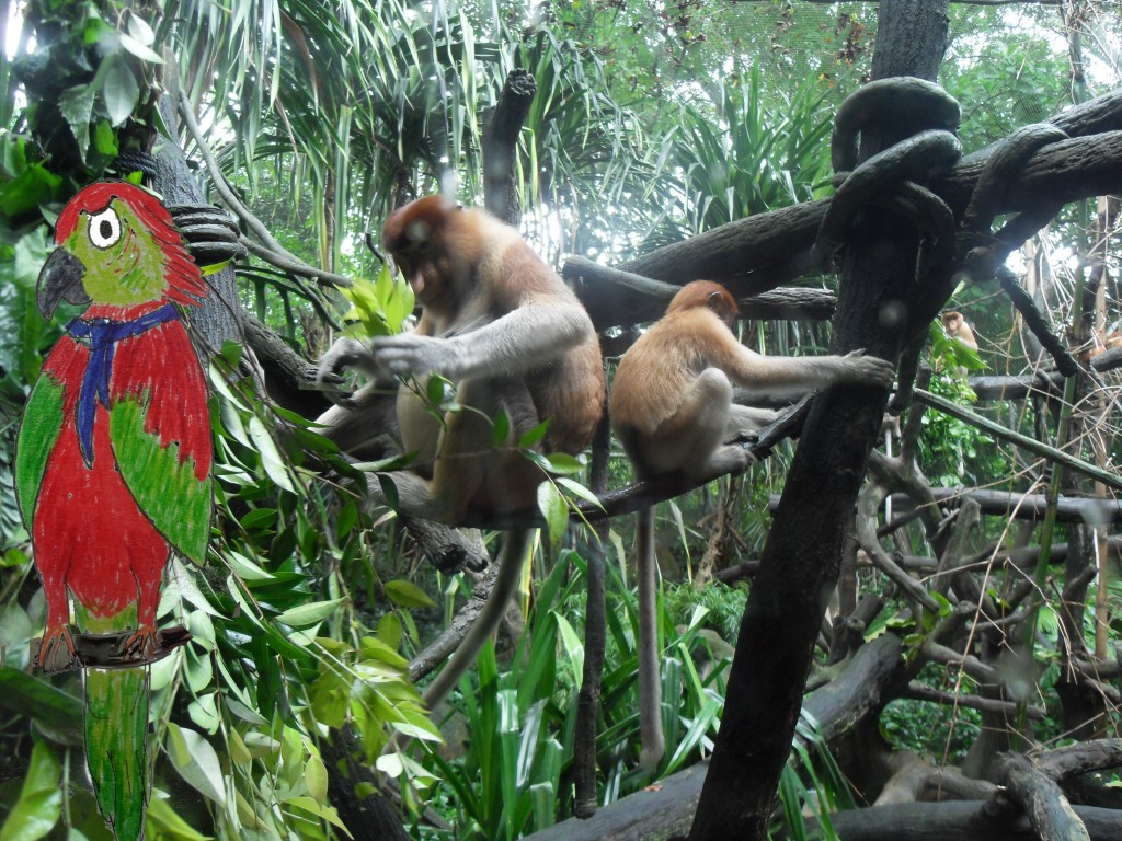 Harry the Grumpy Parrot meets some proboscis monkeys
